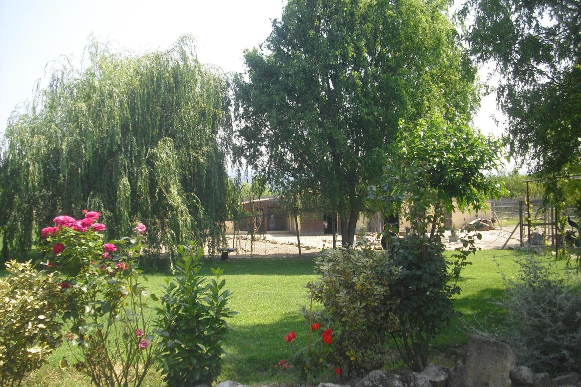 Lou Mas Li Pitchoun "Le Prunier " Apartment Gordes Exterior photo